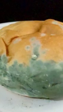 Küflü ekmeğin yakın plan çekimi. Uzun vadeli ve uygunsuz depolama nedeniyle mavi küf kaplı fırınlanmış mallar.