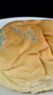 Küflü ekmeğin yakın plan çekimi. Uzun vadeli ve uygunsuz depolama nedeniyle mavi küf kaplı fırınlanmış mallar.