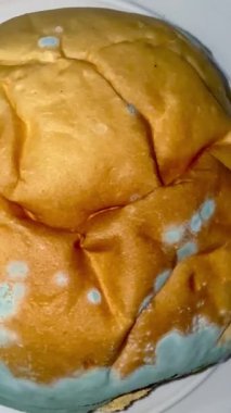 Küflü ekmeğin yakın plan çekimi. Uzun vadeli ve uygunsuz depolama nedeniyle mavi küf kaplı fırınlanmış mallar.