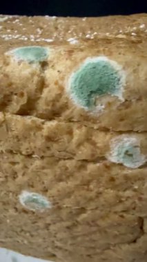 Küflü ekmeğin yakın plan çekimi. Uzun vadeli ve uygunsuz depolama nedeniyle mavi küf kaplı fırınlanmış mallar.