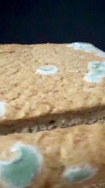 Küflü ekmeğin yakın plan çekimi. Uzun vadeli ve uygunsuz depolama nedeniyle mavi küf kaplı fırınlanmış mallar.