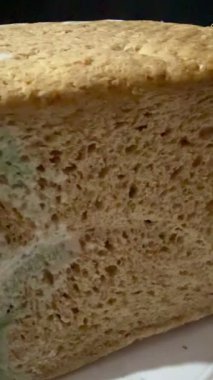 Küflü ekmeğin yakın plan çekimi. Uzun vadeli ve uygunsuz depolama nedeniyle mavi küf kaplı fırınlanmış mallar.