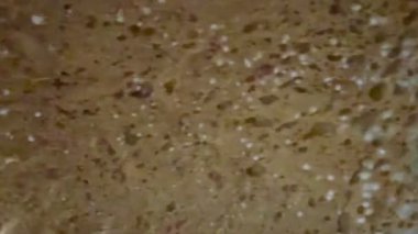 Küflü ekmeğin yakın plan çekimi. Uzun vadeli ve uygunsuz depolama nedeniyle mavi küf kaplı fırınlanmış mallar.