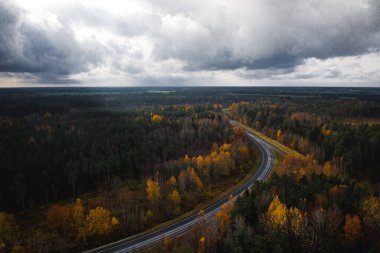 Sonbahar yolu, Harju Bölgesi, Estonya