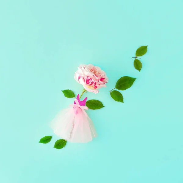 粉红玫瑰与绿色玫瑰花瓣的舞裙 最小的审美成分 蓝色背景的 免版税图库图片