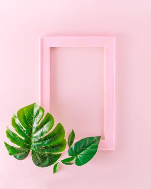 Yumuşak pembe ahşap çerçeve, yazı için yer var. Etrafta yeşil yapraklar var. Pembe arka planlarda asgari estetik.