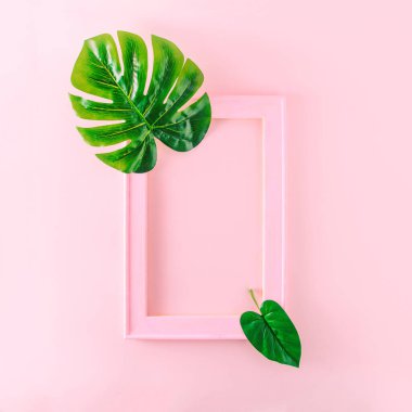 Yumuşak pembe ahşap çerçeve, yazı için yer var. Üzerinde yeşil bir canavar yaprağı var. Pembe arka planlarda asgari estetik.