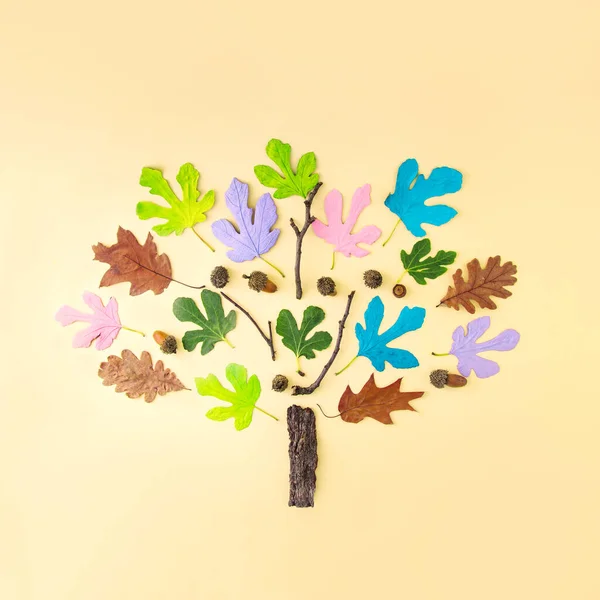 Творчий Сезон Барвистих Літніх Осінніх Листя Гілок Пастельних Сучасних Кольорах — стокове фото