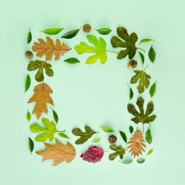 Bir küpün içinde kopyalamak için yaratıcı bir alan. Sonbahar mevsimi programında sonbahar meyveleri ve yaprakları var. Doğa yassı. Pastel, yeşil arka planda.