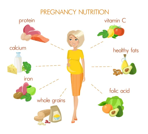 Infographie nutritionnelle détaillée de la grossesse — Image vectorielle