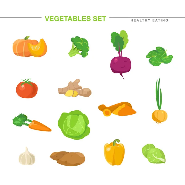 Большой набор сырых овощей и корней. — стоковый вектор