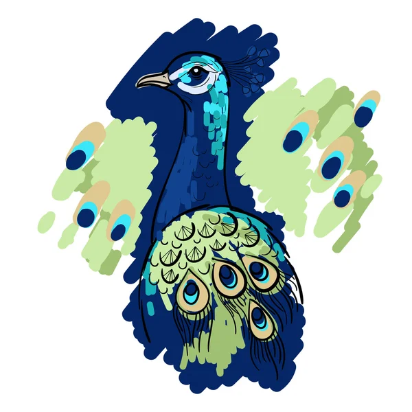 Dibujado a mano Ilustración de pavo real — Archivo Imágenes Vectoriales