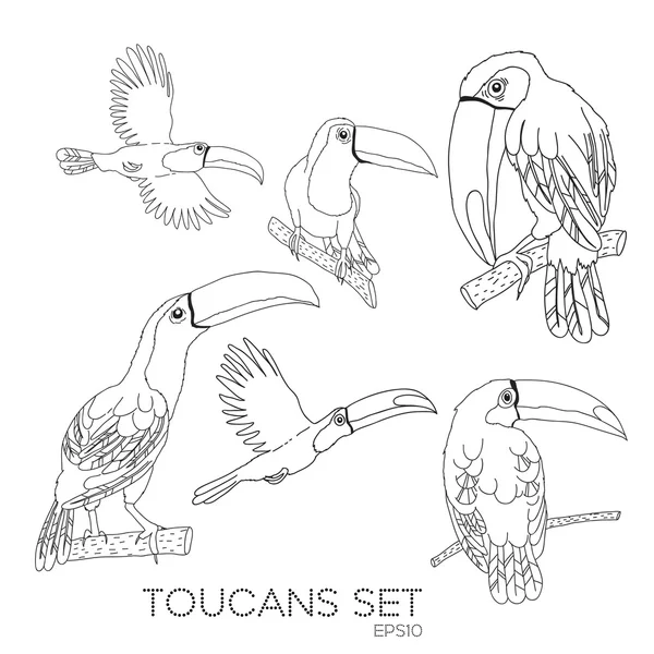 Векторные туканы с птицами — стоковый вектор