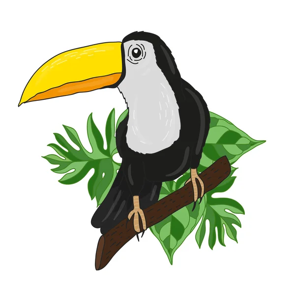 Toucan i bladen. Exotiska tropic bird — Stock vektor