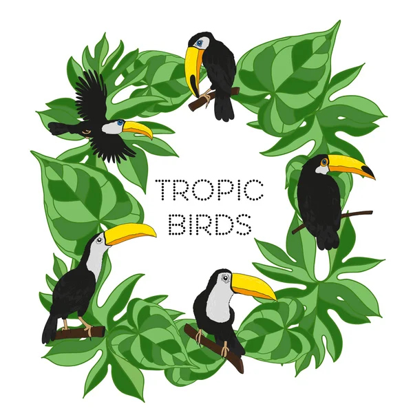 Blad och tukaner, djungeln fåglarna ram — Stock vektor