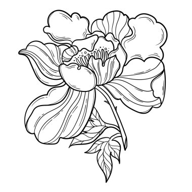 Fantezi Şakayık çiçeği yaprağı.