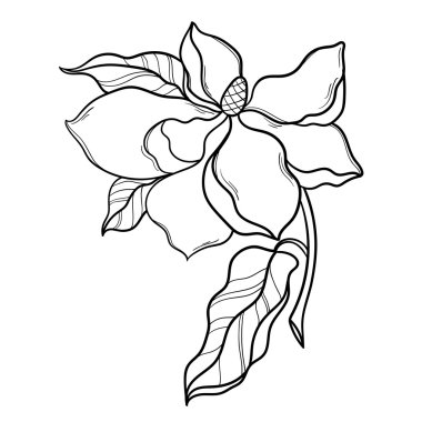 Free Free 323 Magnolia Flower Svg Free SVG PNG EPS DXF File