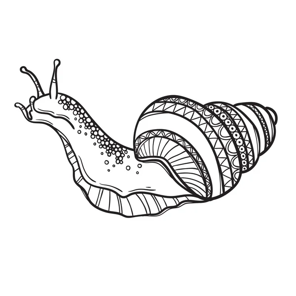 Caracol patrón para colorear libro — Vector de stock