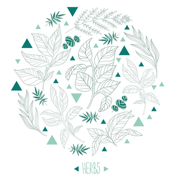 Ervas e folhas verdes — Vetor de Stock