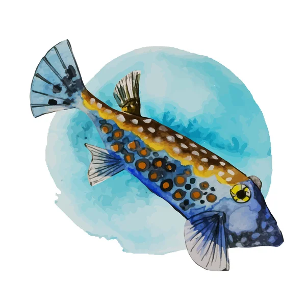 Exotiska havet fisk — Stock vektor
