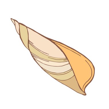 Yavaşça seashell vektör