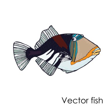 Vektör Okyanus balık