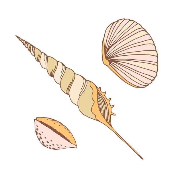 Vector suavemente conchas marinas — Archivo Imágenes Vectoriales