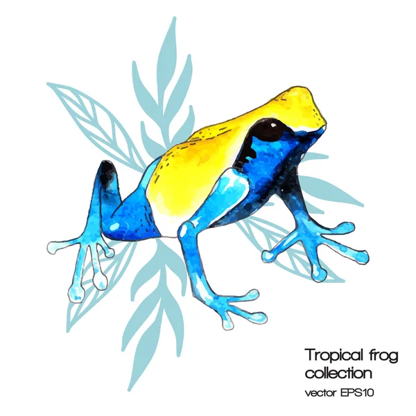 Акварельная тропическая лягушка — стоковый вектор