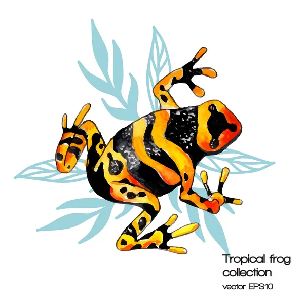 Aquarell tropischer Frosch — Stockvektor
