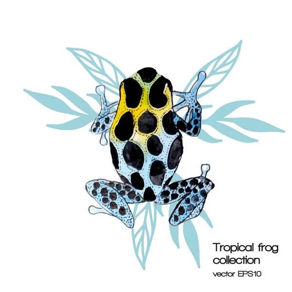 Aquarell tropischer Frosch — Stockvektor