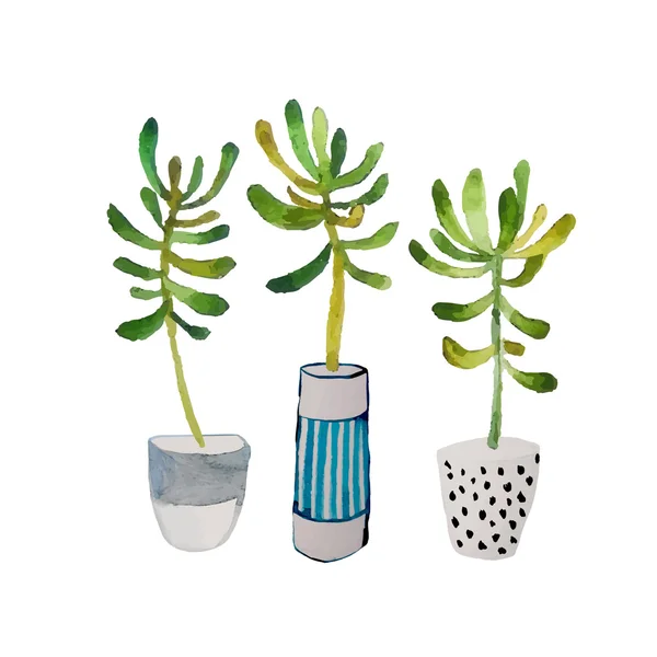 Suluboya ile succulents ayarla — Stok Vektör