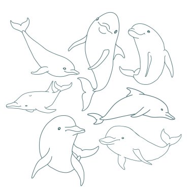 Yedi kontur yunuslar