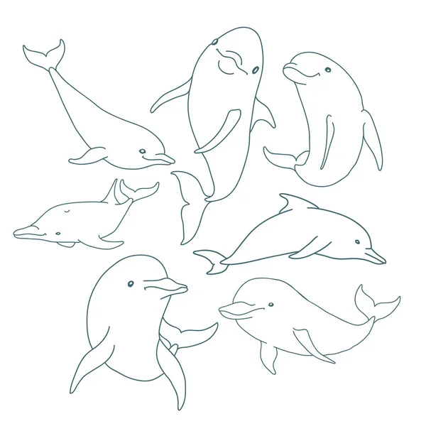 Sete golfinhos de contorno — Vetor de Stock
