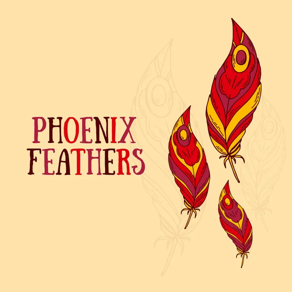 Magiczny phoenix piór — Wektor stockowy