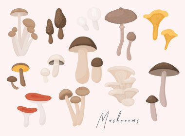 Beyaz üzerinde izole edilmiş düz dizayn vektör illüstrasyonlarının geniş mantar kümesi. 