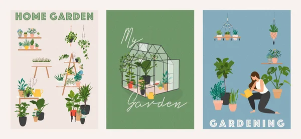 Garden Flowers Plants Home Outdoor Glass Greenhouse Home Garden — Stock Vector