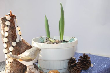 Topraktaki lalelerin yemyeşil bahar filizleri