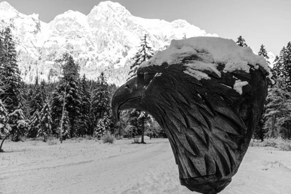 Beautiful black and white winter wonderland with a big wooden eagle head at the famous Klausbachtal, Hintersee, Ramsau, Berchtesgaden, Bavaria, Germany