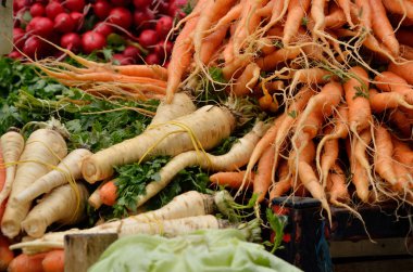 Havuç, yabani havuç ve turp bahar