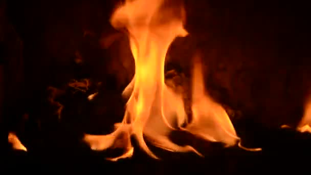 Feuer im Ofen — Stockvideo