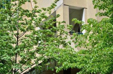 Ağaçları ile çevrili balkon