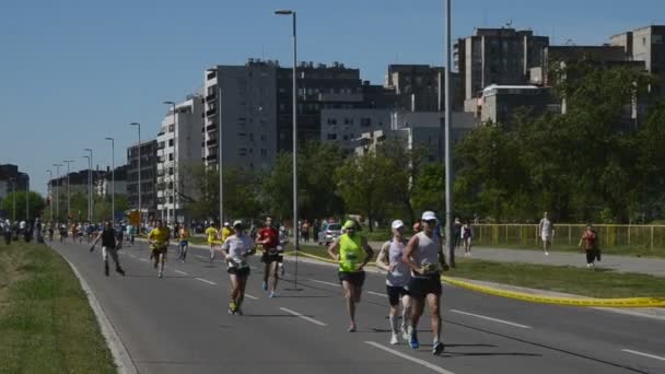 Corredores durante la carrera de maratón — Vídeos de Stock