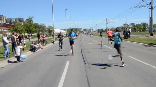 Runners During Marathon Race — Stock Video