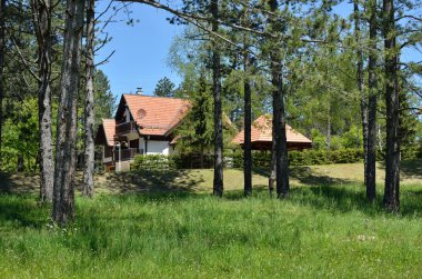 Hafta sonu evleri ormandaki