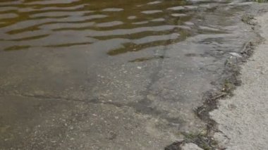 Göl sığ su yüzeyi
