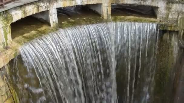 Escurrir agua del estanque — Vídeo de stock