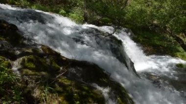 Nehrin karşısına pan