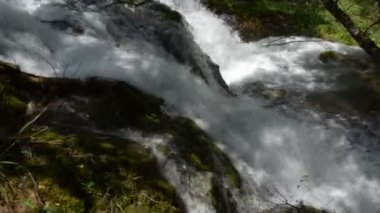 Yakınlaştırma nehre