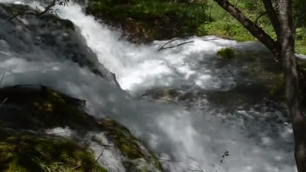 Närbild på Overfall — Stockvideo