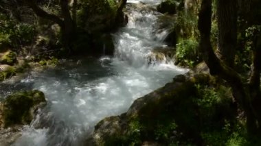 Swift dağ nehir akışının küçük bir havuz oluşturur